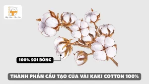 thành phần cấu tạo của vải kaki cotton 100%